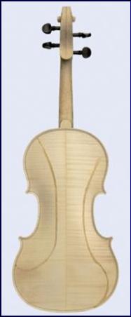 Violin Mode B1+ nodal lines back plate