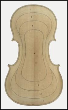 Starting volume of a violin top plate