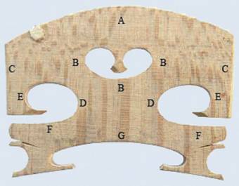 Violin bridge